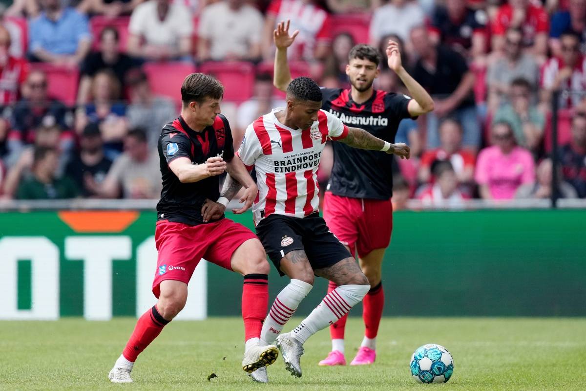 的诸多猜测 的诸多猜测