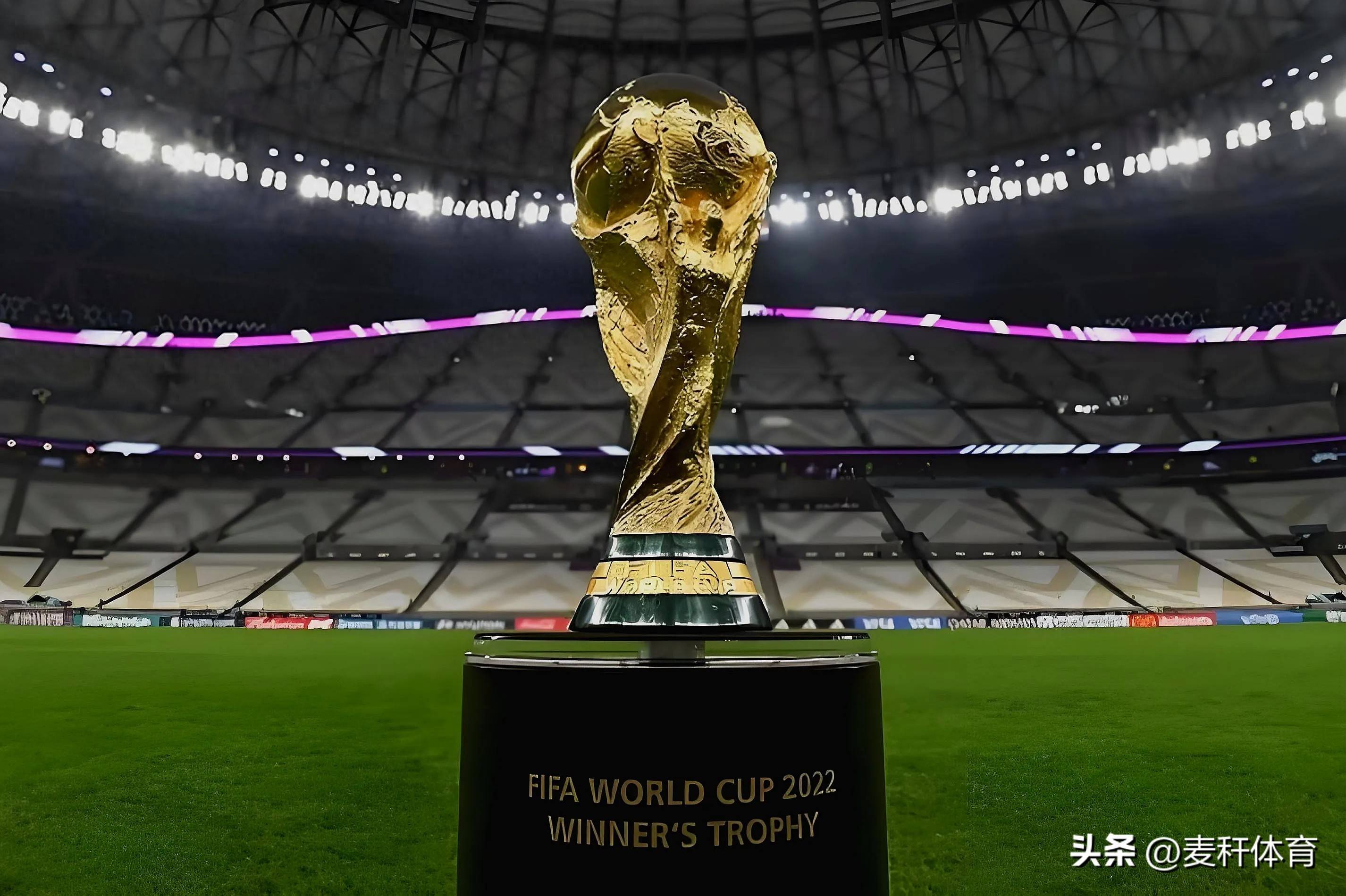 球员的去向 球员的去向