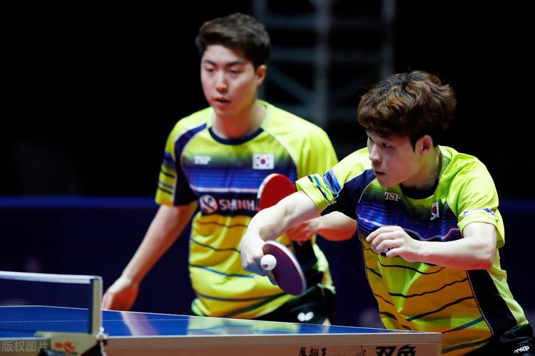 冬会的完美 冬会的完美