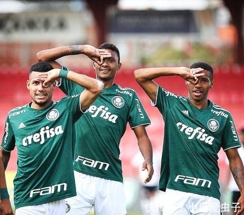 案例分析 案例分析